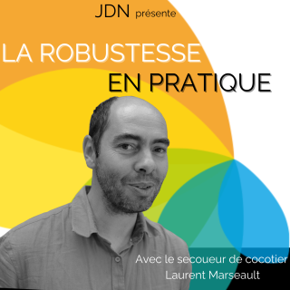 JDN #1 - Laurent Marseault - De la performance à la robustesse : et si on repensait nos organisations ?