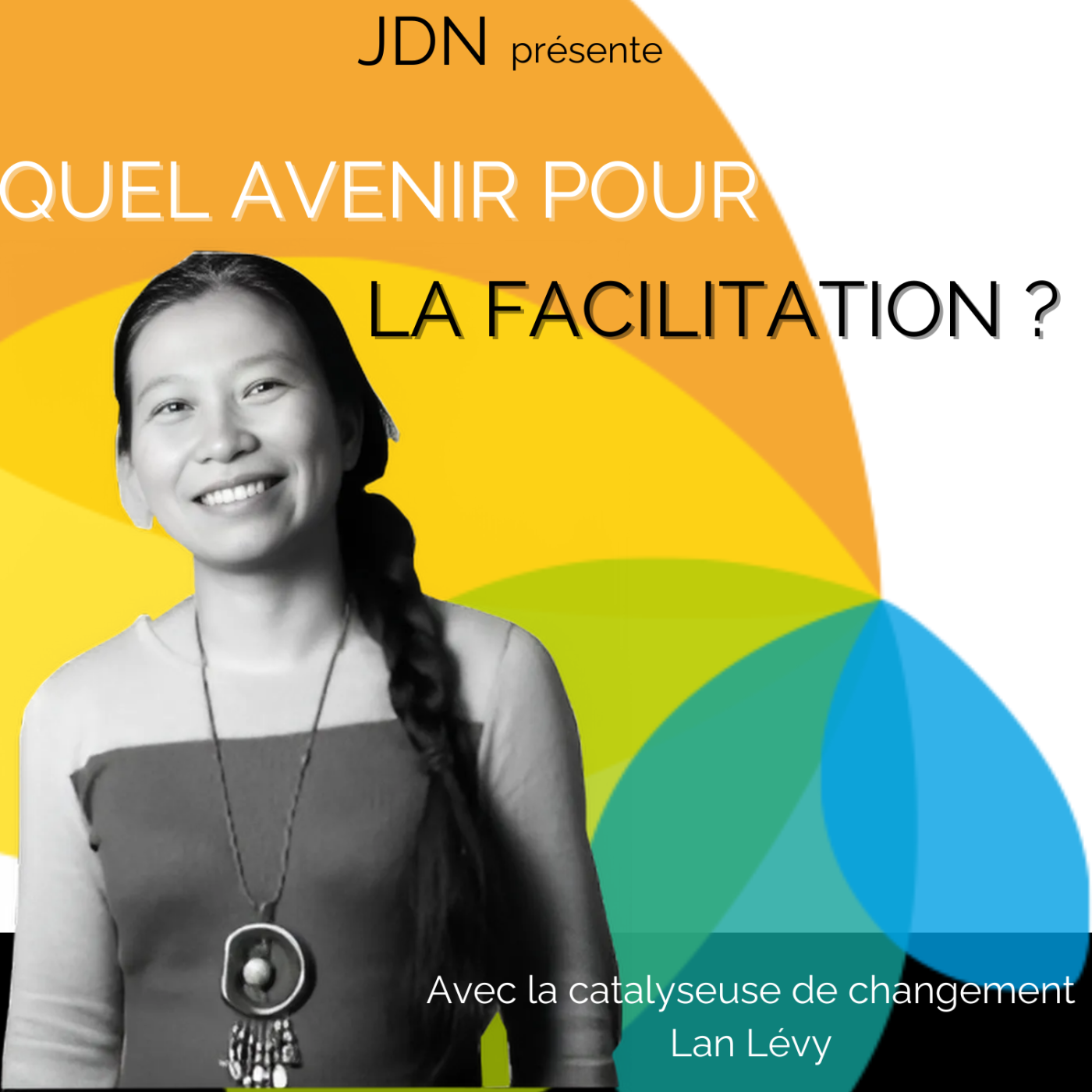 JDN %232 – Lan Levy – Quel avenir pour la facilitation ?