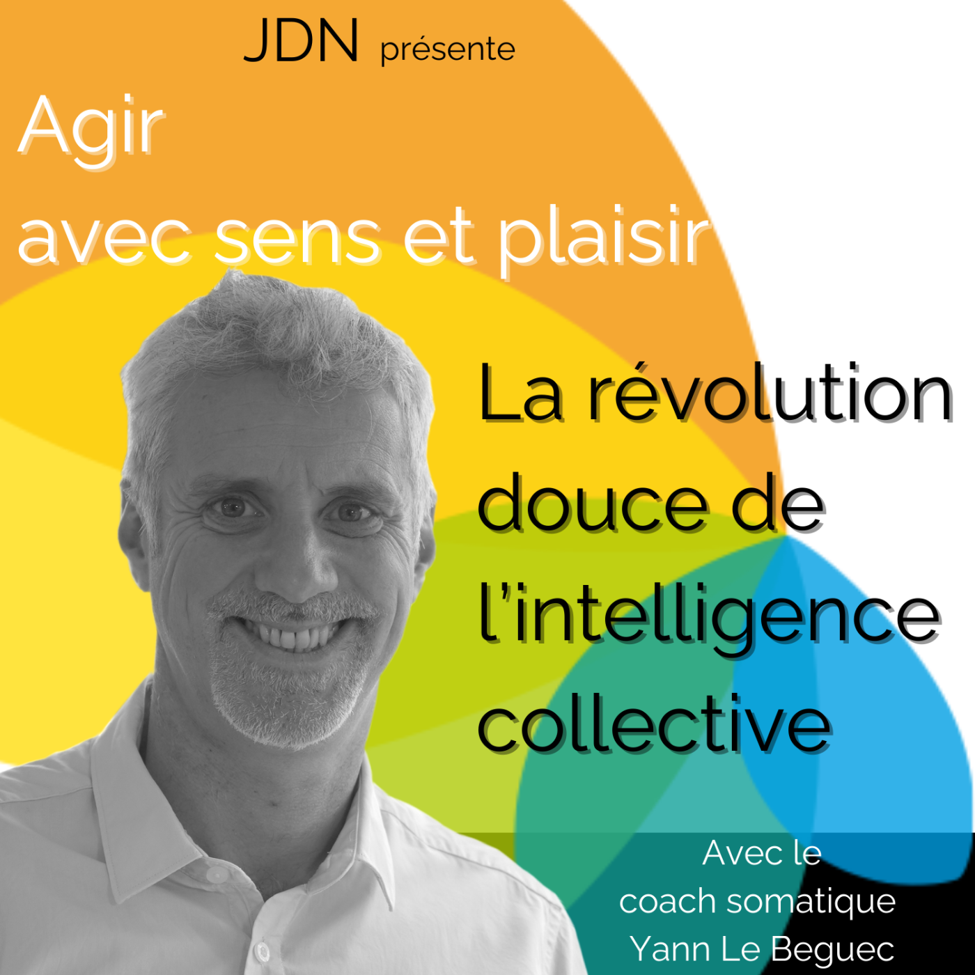 JDN %234 – L’art d’agir avec sens et plaisir : la révolution douce de l’intelligence collective